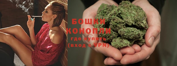 хмурый Белокуриха