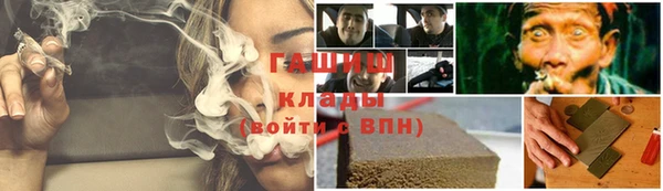 хмурый Белокуриха