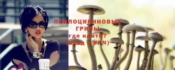 PSILOCYBIN Беломорск