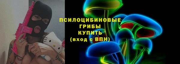 хмурый Белокуриха