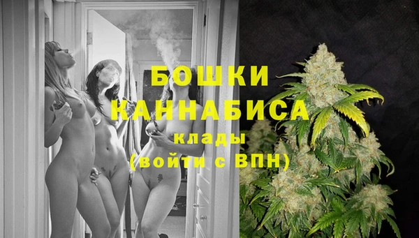 PSILOCYBIN Беломорск