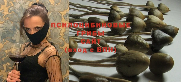PSILOCYBIN Беломорск