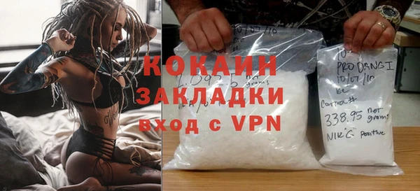 хмурый Белокуриха