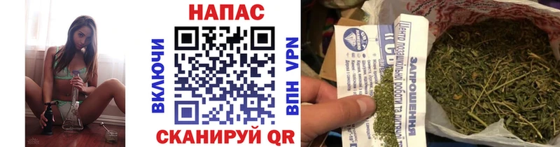 блэк спрут ТОР  Губаха  Канабис ГИДРОПОН 